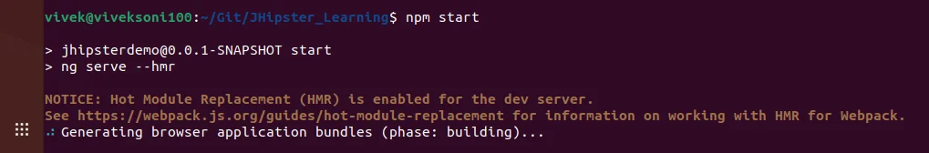 hit npm start in the console