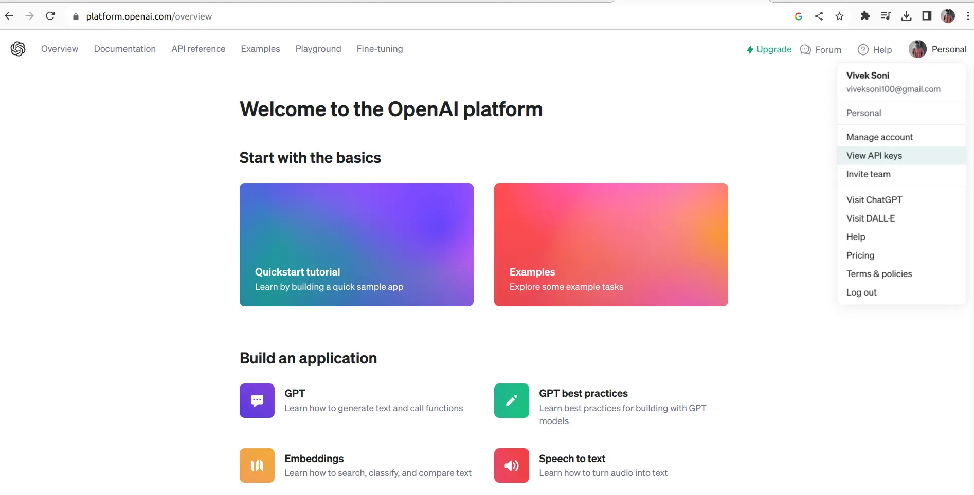 OpenAI Portal