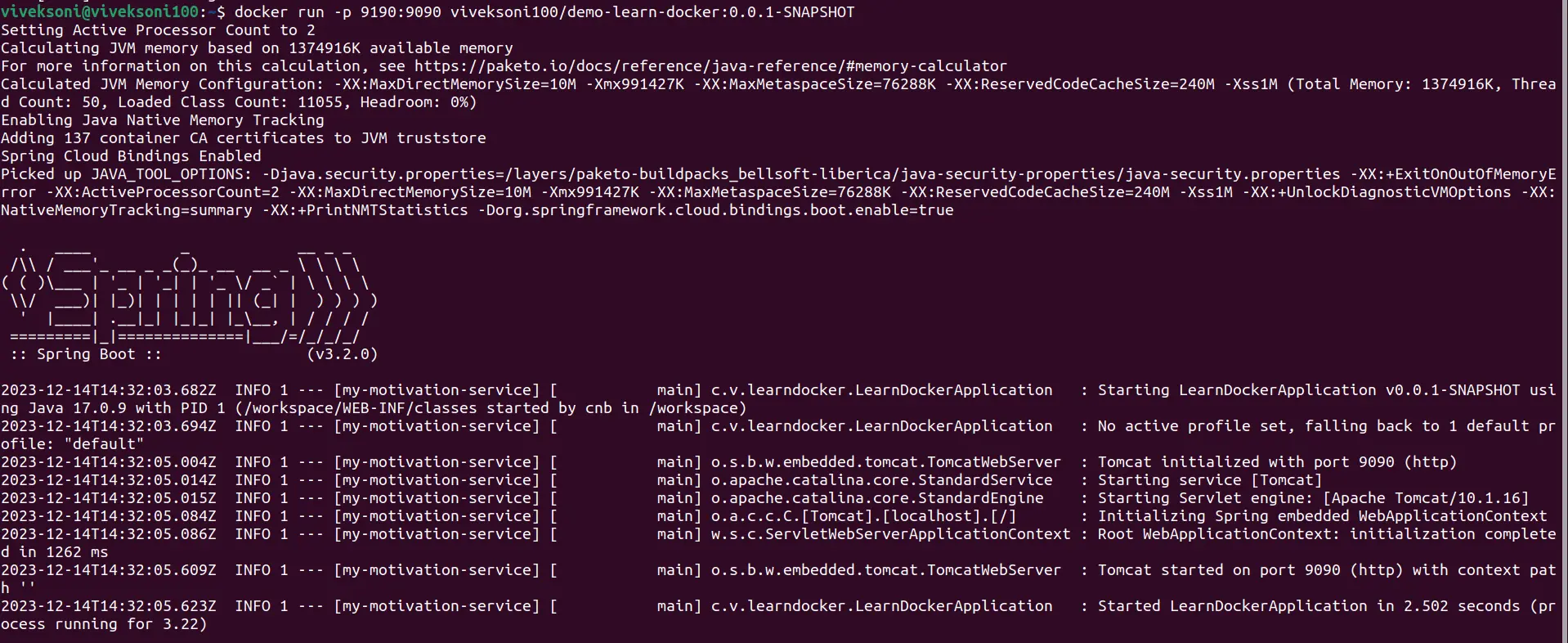 terminal log showing a spring boot application startup